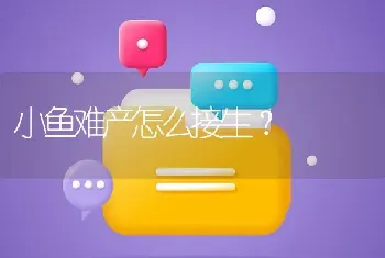 小鱼难产怎么接生？