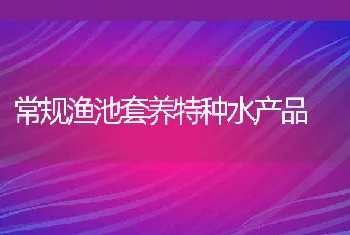 鸡舍温度对肉鸡生长的影响