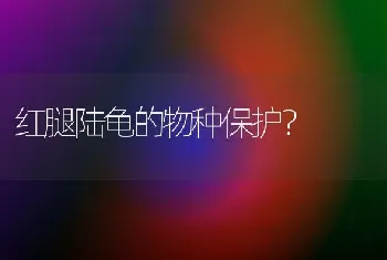 红腿陆龟的物种保护？