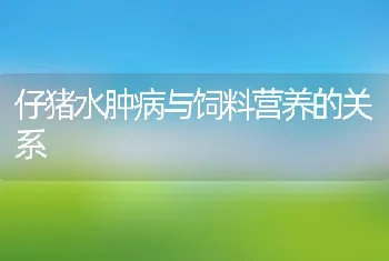 仔猪水肿病与饲料营养的关系