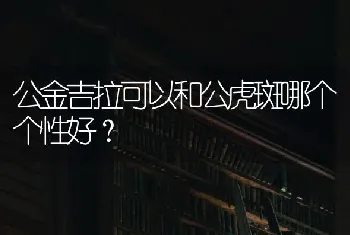 公金吉拉可以和公虎斑哪个个性好？