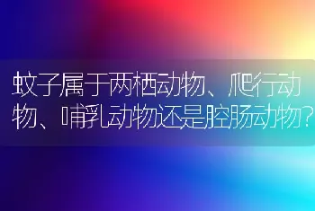 萨摩耶幼犬吃多少狗粮合适？