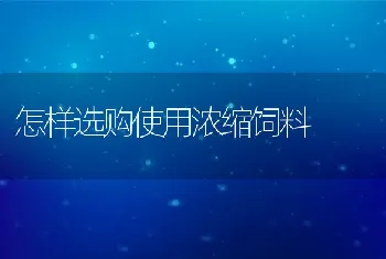 怎样选购使用浓缩饲料