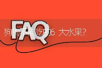 狗狗不能吃的6大水果？