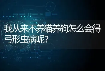 我从来不养猫养狗怎么会得弓形虫病呢？