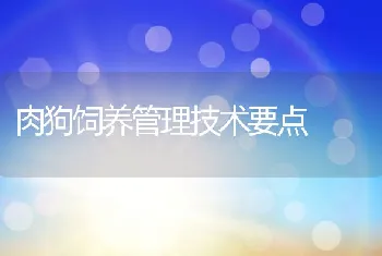 内外结合防止春季鱼类发病