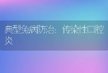 典型兔病防治：传染性口腔炎