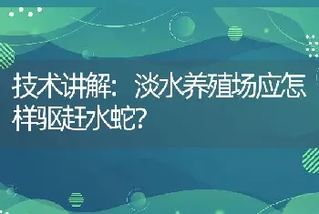 技术讲解:淡水养殖场应怎样驱赶水蛇？