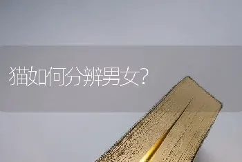 萨摩耶可以吃米饭那些吗？