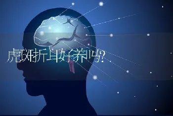 雪纳瑞的优缺点，适合什么人群饲养？