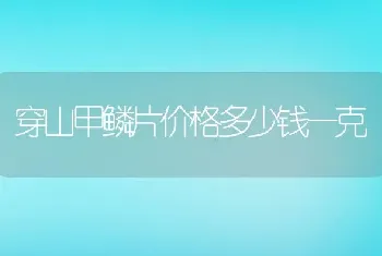 穿山甲鳞片价格多少钱一克