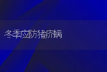 冬季应防猪疥螨