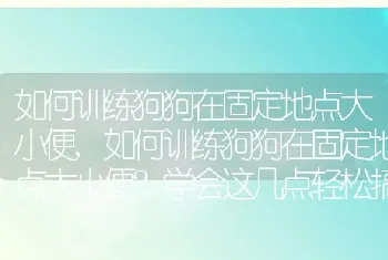 如何训练狗狗在固定地点大小便，如何训练狗狗在固定地点大小便？学会这几点轻松搞定