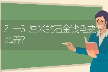 2一3厘米的石金钱龟要怎么养？