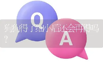 狗狗得了细小后还会再得吗？