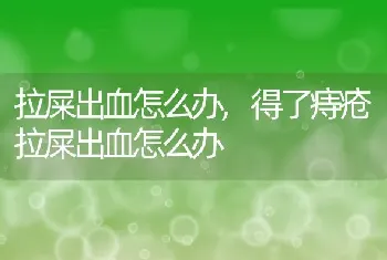 拉屎出血怎么办，得了痔疮拉屎出血怎么办