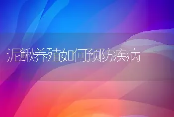 泥鳅养殖如何预防疾病