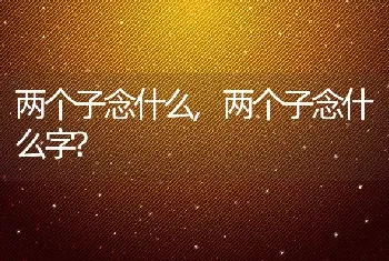 两个子念什么，两个子念什么字？