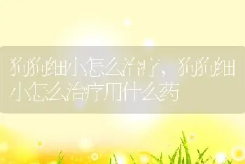 狗狗细小怎么治疗，狗狗细小怎么治疗用什么药