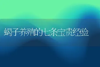 蝎子养殖的七条宝贵经验