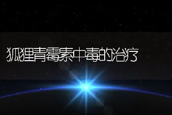 狐狸青霉素中毒的治疗