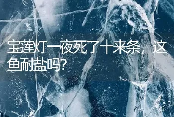 宝莲灯一夜死了十来条，这鱼耐盐吗？