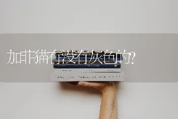 狗狗尾巴的各种动作代表什么意思？