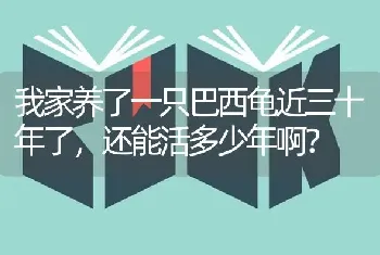 我家养了一只巴西龟近三十年了，还能活多少年啊？