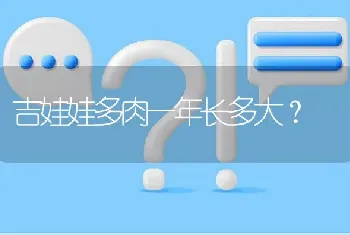 吉娃娃多肉一年长多大？