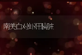 南美白对虾肝胰脏