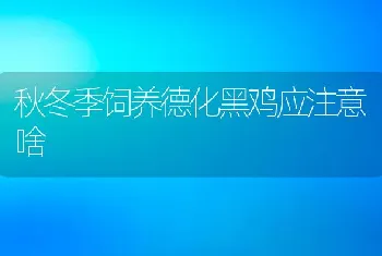 柑桔生产不可走进病虫防治误区