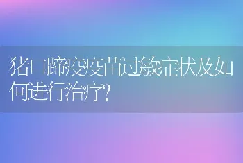 猪口蹄疫疫苗过敏症状及如何进行治疗？