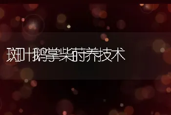 螃蟹蟹奴病症状及防治技术