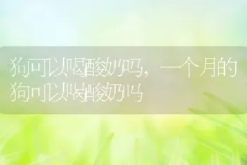 狗可以喝酸奶吗，一个月的狗可以喝酸奶吗