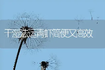 干湿法运青虾简便又高效