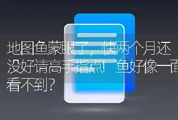 地图鱼蒙眼了，快两个月还没好请高手指点!鱼好像一面看不到？