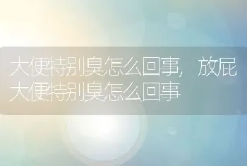 大便特别臭怎么回事，放屁大便特别臭怎么回事