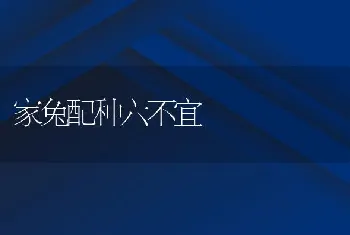 冬季育雏当心有害气体