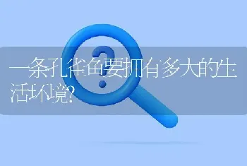 一条孔雀鱼要拥有多大的生活环境？