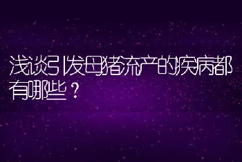 浅谈引发母猪流产的疾病都有哪些？