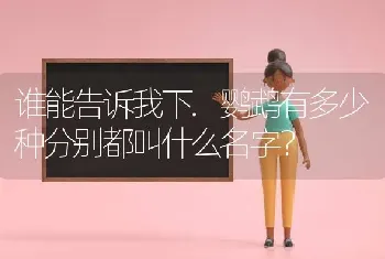 谁能告诉我下.鹦鹉有多少种分别都叫什么名字？