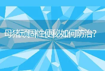 母猪顽固性便秘如何防治？