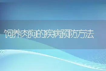 饲养肉狗的疾病预防方法