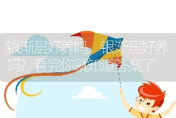 银渐层好养吗，银渐层好养吗？看完你就知道答案了