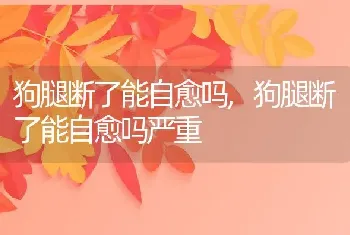 狗腿断了能自愈吗，狗腿断了能自愈吗严重