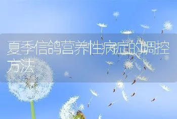 夏季信鸽营养性病症的调控方法