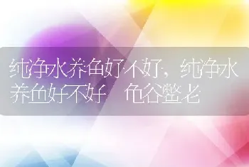 纯净水养鱼好不好，纯净水养鱼好不好 龟谷鳖老