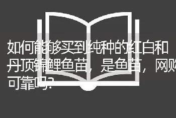 如何能够买到纯种的红白和丹顶锦鲤鱼苗，是鱼苗，网购可靠吗？