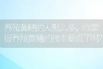 养殖黄鳝的人那么多，你掌握养殖黄鳝的技术要点了吗？