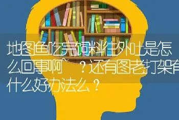 地图鱼吃完饲料往外吐是怎么回事啊~？还有图老打架有什么好办法么？